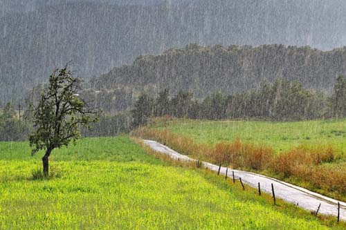 रामेछापमा २४ वर्ष यताकै ठूलो वर्षा कृषक उत्साहित