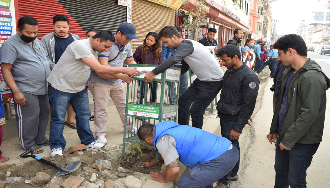 बृक्षारोपणमा विकास बैंकको सहयोग