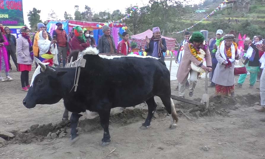 गोरु जोतेर कृषि महोत्वस उद्घाटन