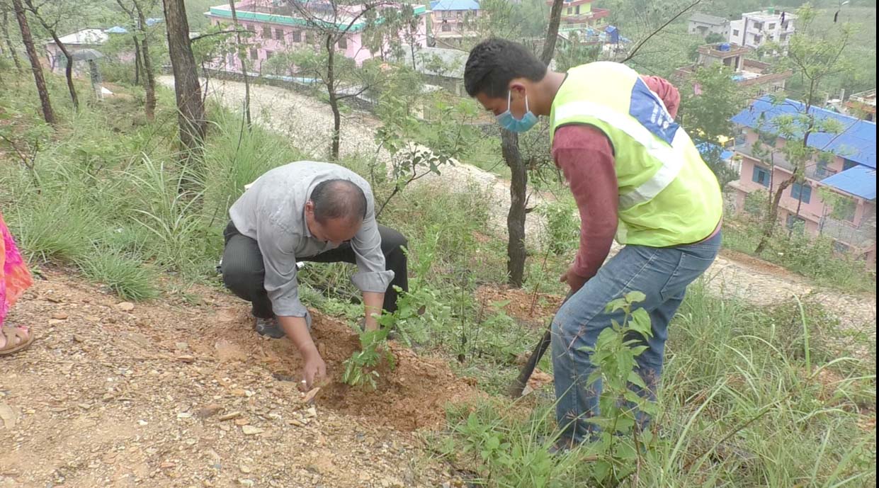 विश्व वातावरण दिवस पारेर बृक्षारोपण महाअभियान सुरु