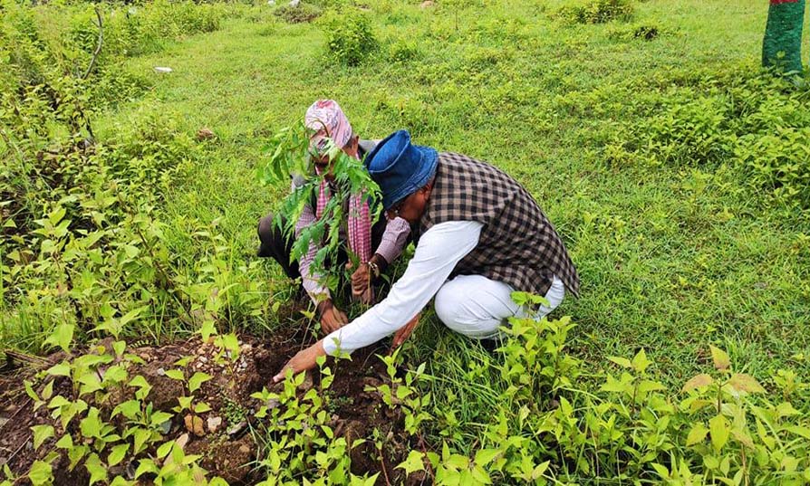 नेपाली काँग्रेस रामेछापद्धारा विपी स्मृति दिवसमा वृक्षारोपण