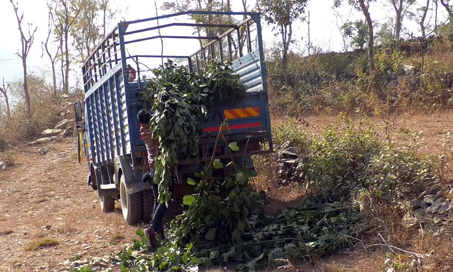 चोरीको घाँस ल्याउँदै गर्दा अक्वा शैलुङ्ग पानीको गाडी स्थानीयले प्रहरीलाई बुझाए (भिडियो सहित)